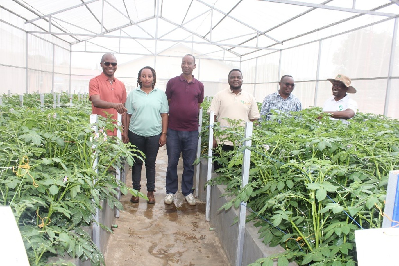 Strengthening Potato and Maize Research Infrastructure and Field Trial Monitoring Across RAB Stations in Rwanda