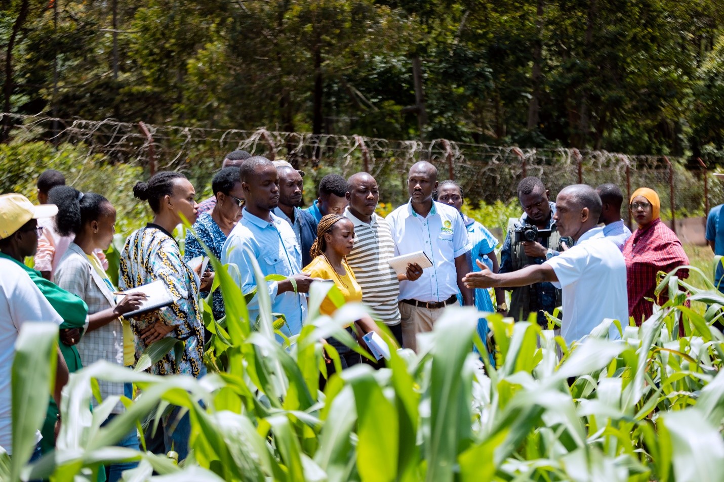 Maize Seeing is Believing Event