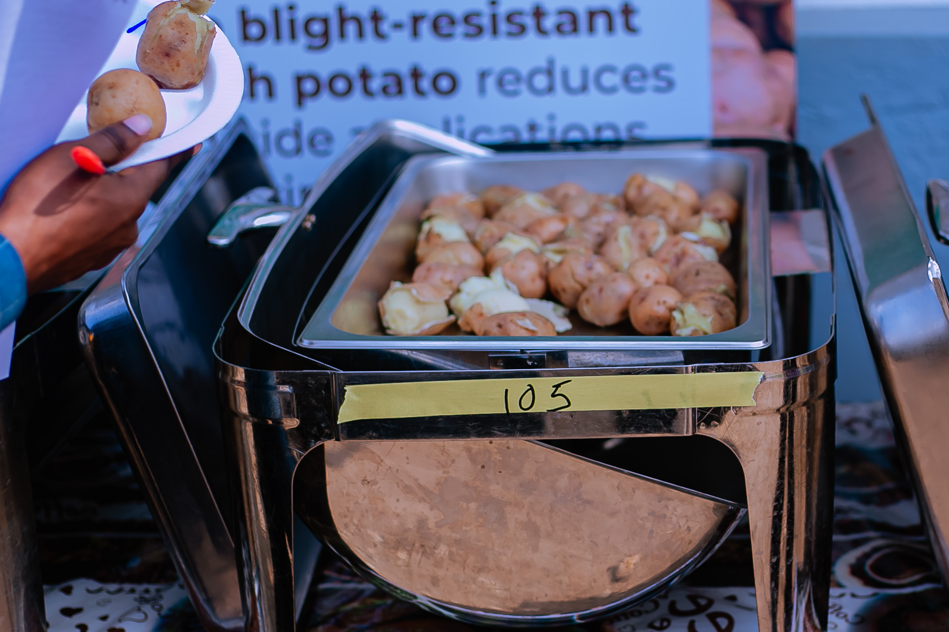 Sensory Evaluation Assesses Consumer Acceptability of Biotech Potato Materials