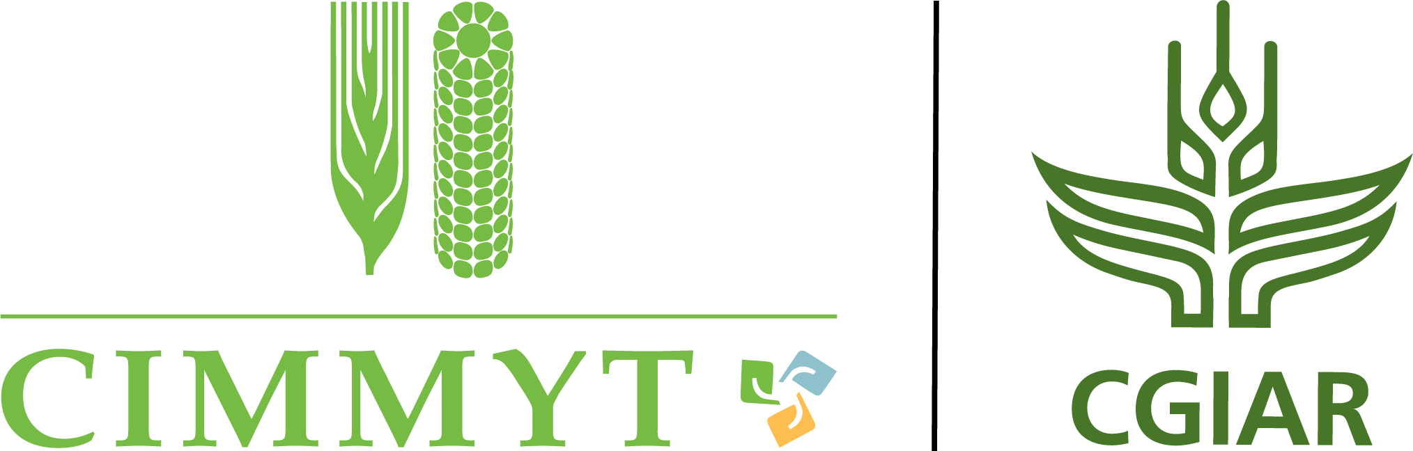 International Maize and Wheat Improvement Center (CIMMYT)