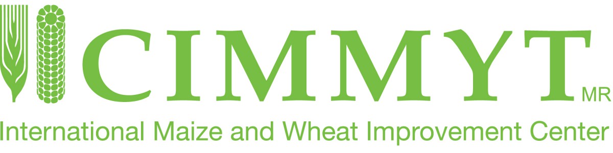 International Maize and Wheat Improvement Center (CIMMYT)