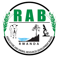 Rwanda Agriculture and Animal Resources Development Board